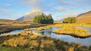 Plateau Prints: Buachaille Etive Mor, Rannoch Moor, Highland, Scotland, United Kingdom