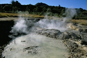 Volcanoe Prints: Bubbling mud pools