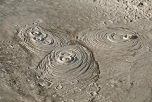 North Island Prints: Bubbling mud pot in the Whakarewarewa thermal area at Rotorua
