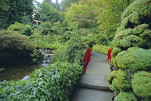 Lush Prints: Buchart Gardens, Vancouver Island, British Columbia, Canada
