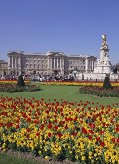 Buckingham Palace Prints: Buckingham Palace, London, England, UK, Europe