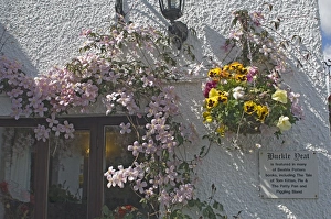 Hanging Basket Prints: Buckle Yeat, detail of local cottage in Near Sawrey