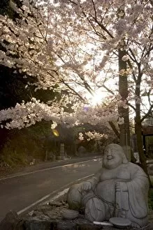 Japanese Gallery: Buddha statue