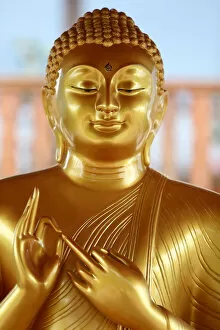 Foreground Focus Gallery: Buddha statue, Tu An Buddhist Temple, Saint-Pierre-en-Faucigny, Haute Savoie, France