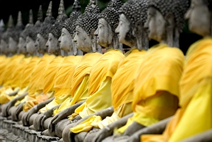 Images Dated 17th October 2007: Buddha statues, Ayuthaya, Thailand, Southeast Asia, Asia