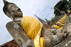 Images Dated 17th October 2007: Buddha statues, Ayuthaya, Thailand, Southeast Asia, Asia