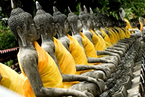 Images Dated 17th October 2007: Buddha statues, Ayuthaya, Thailand, Southeast Asia, Asia