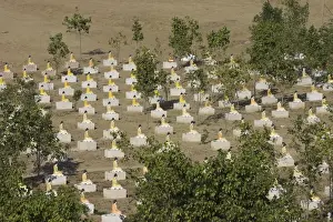 Monywa Prints: Buddha statues in grove of bo trees