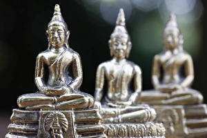 Images Dated 14th June 2009: Buddha statues, Paris, France, Europe