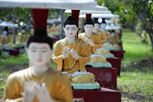 Buddha Prints: Buddha statues each planted alongside a Bo tree in Maha Bodhi Ta Htaung