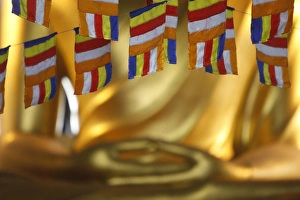 Images Dated 10th May 2009: Buddhist flags, Paris, France, Europe