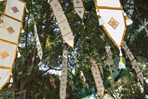 Images Dated 19th January 2007: Buddhist flags in temple trees, Chiang Mai, Thailand, Southeast Asia, Asia