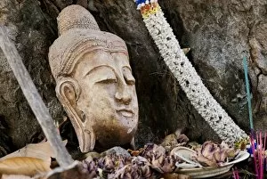 Buddhist head placed at tree base, Chiang Mai, Thailand, Southeast Asia, Asia