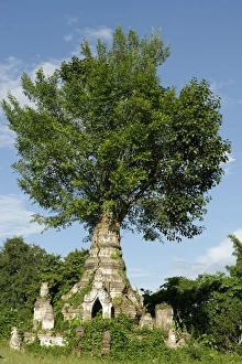 Buddhist monastery, Hsipaw area, Shan State, Republic of the Union of Myanmar (Burma), Asia
