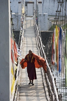 One Senior Man Only Prints: Buddhist Monk crossing bridge to Punakha Dzong, Punakha, Bhutan, Asia
