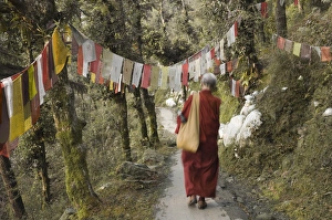 One Man Only Prints: Buddhist monk walking down path