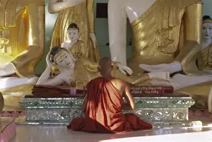 Meditating Prints: Buddhist monk worshipping at Shwedagon Paya (Shwe Dagon pagoda), Yangon (Rangoon)