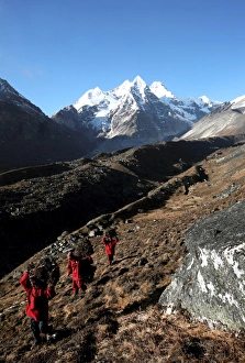 Images Dated 4th January 2000: Three Buddhist monks carry firewood high above the mountain village of Khare