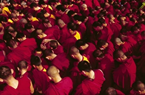 New Year Prints: Buddhist monks praying during the celebration of Losar