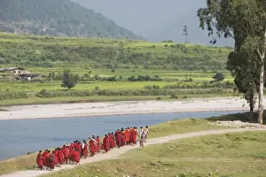 Buddhist monks from Punakha Dzong, going to river for meditation, Punakha, Bhutan, Asia