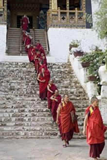 Punakha Prints: Buddhist monks, Punakha Dzong, Punakha, Bhutan, Asia