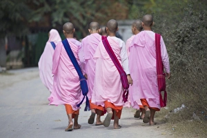 Buddhist nuns in traditional robes, Sagaing, Myanmar (Burma), Southeast Asia