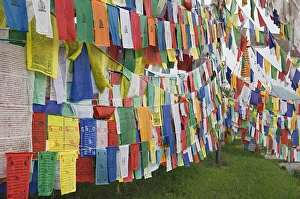 Jolly Prints: Buddhist prayer flags