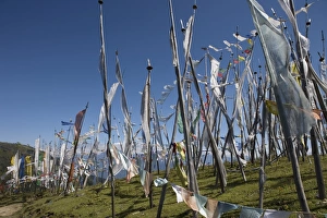 Paro Prints: Buddhist prayer flags on Cheli La Pass, 3810m, from Paro to Haa Valley