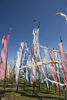 Paro Prints: Buddhist prayer flags on Cheli La Pass (3810mt), from Paro to Haa Valley