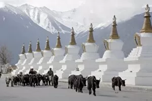 Images Dated 1st May 2008: Buddhist stupas, Deqin, called Shangri-La, on the Tibetan Border, Shangri-La region