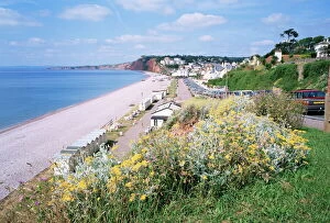 Images Dated 28th July 2008: Budleigh Salterton, Devon, England, United Kingdom, Europe