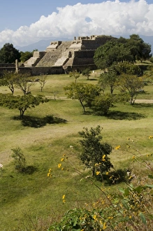 Building 5