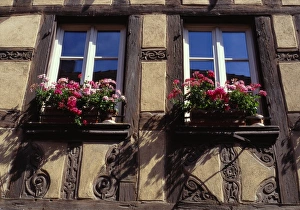 Window Box Prints: Building Exterior, Colmar, Alsace, France