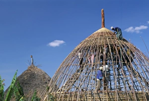 Ethiopian Prints: Building a hut, Gourague area, Shoa province, Ethiopia, Africa