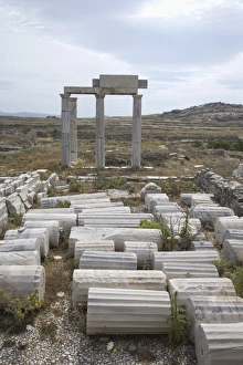 Poseidon Prints: Building of the Poseidoniasts