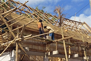 Toraja Prints: Building traditional Toraja house