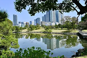 Skyscrapers Prints: Buildings reflecting on lake in Hamarikyu Gardens