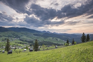 Bucovina Prints: Bukovina Region (Bucovina) landscape at sunset, Paltinu, Romania, Europe
