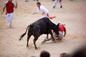 Power Collection: Bull fighting, San Fermin festival, Plaza de Toros, Pamplona, Navarra, Spain, Europe
