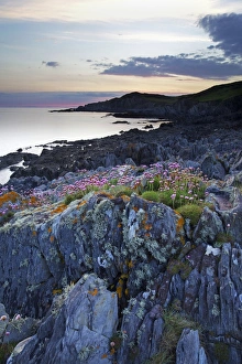 Bull Point, North Devon, Devon, England, United Kingdom, Europe