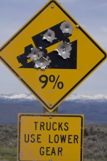 Signage Prints: Bullet holes in road sign, Pinedale, Wyoming, United States of America, North America