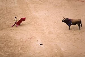 Images Dated 11th July 2007: Bullfight in Plaza de Toros during San Fermin festival, Pamplona, Navarra
