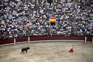 Stadium Prints: A bullfight takes place in Las Ventas, Madrid, Spain, Europe