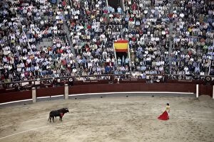 Images Dated 10th May 2009: A bullfight takes place in Las Ventas, Madrid, Spain, Europe