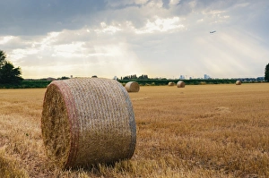 Milan Prints: Bundles of hay, with dramatic rays of light, on the outskirts of Milan, Lombardy