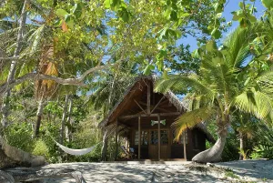 Azure Prints: Bungalow on the beach, Constance Lodge