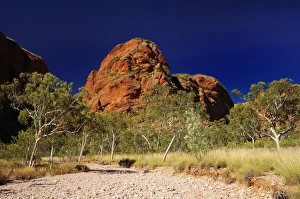 Images Dated 6th May 2008: Bungle Bungle, Purnululu National Park, UNESCO World Heritage Site, Kimberley