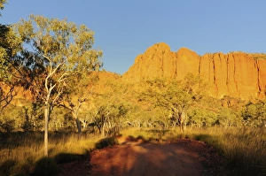 Images Dated 5th May 2008: Bungle Bungle, Purnululu National Park, UNESCO World Heritage Site, Kimberley
