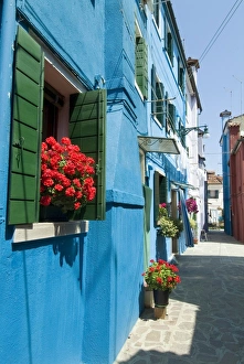 Window Boxes Prints: Burano, island near Venice