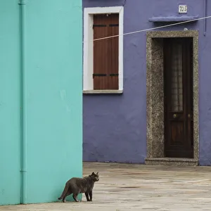 Looking Away Prints: Burano, Venice, UNESCO World Heritage Site, Veneto Province, Italy, Europe